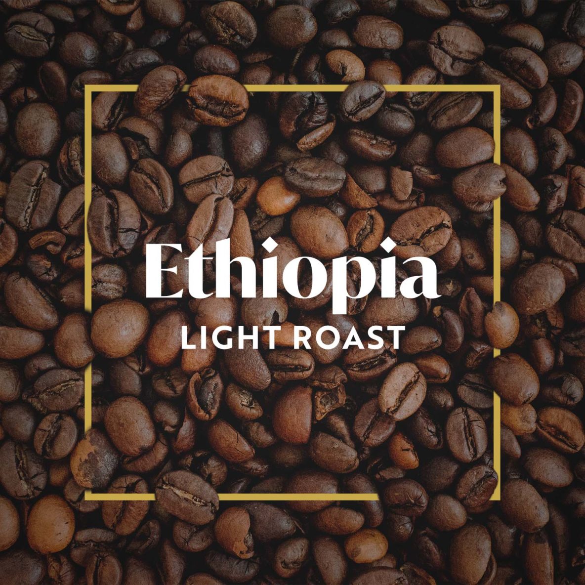 Ethiopia - Light Roast - Crane Coffee Roasters