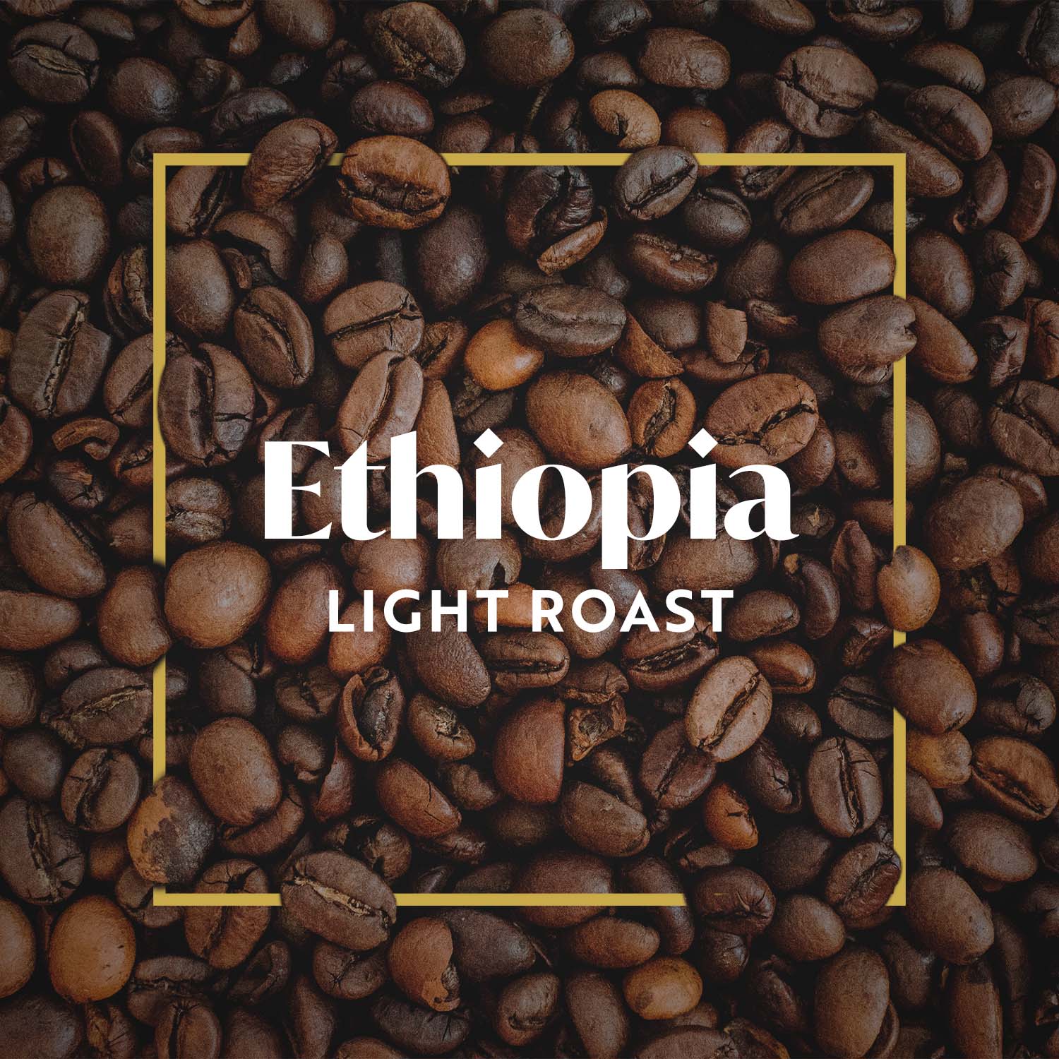 Ethiopia - Light Roast